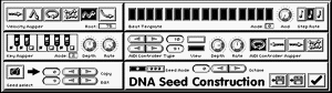 DNA Seed Construction Window