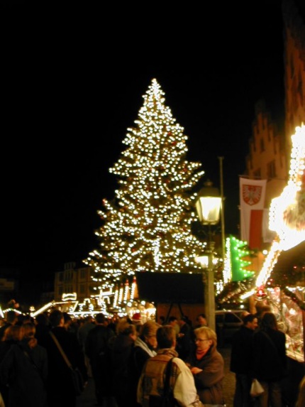 [Photo: Big tree]