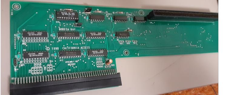 zorro1.JPG