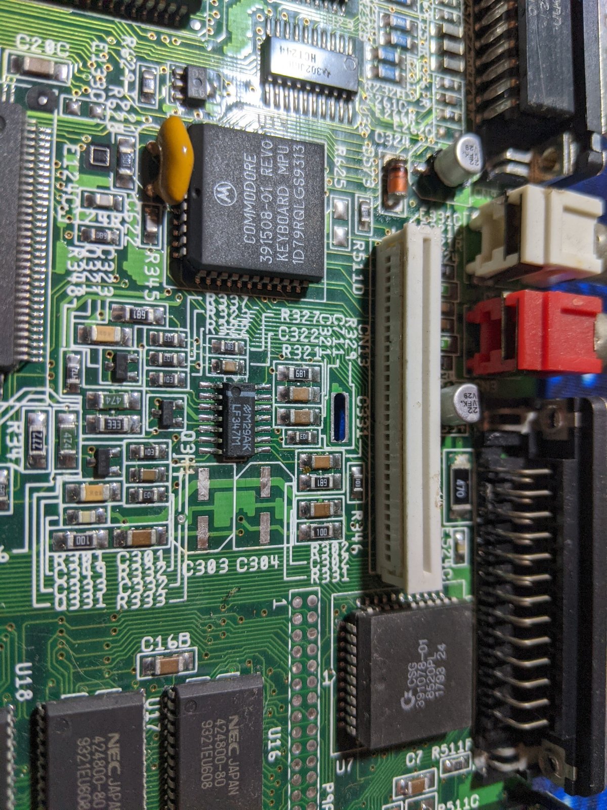 middle_caps_removed.jpg