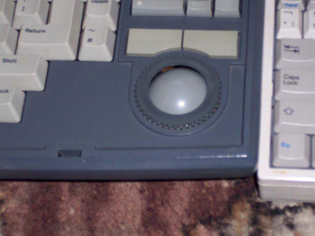 Stacytrackball.JPG