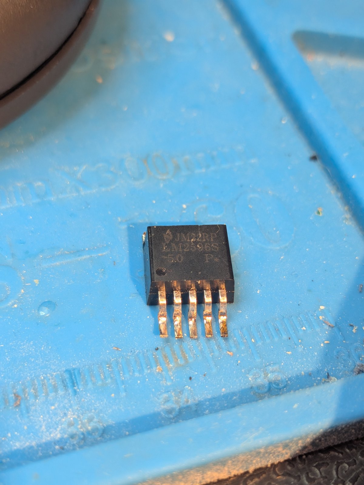 PXL_20261011_164129937.MACRO_FOCUS.jpg